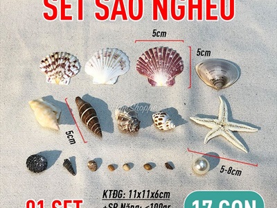 Set vỏ sò ốc sao biển ngọc trai làm handmade 17 cái [Có chai handmade sẵn] VOSOOC-SET01