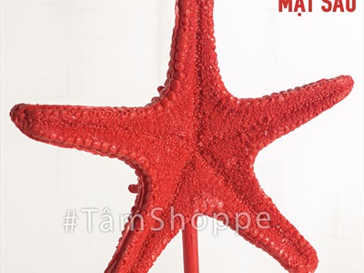 Standee sao biển kim tuyến đế tròn [Nhiều màu - Cao 29cm] STANDEE-BIEN-03