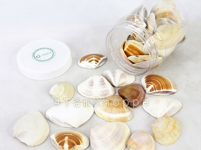 Vỏ nghêu trang trí nhiều loại [Hủ nhựa - Nhiều cái] VOSO-04