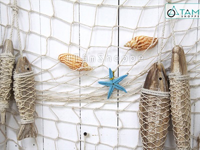 Vỏ ốc bắp [Dài 9-10cm/ Ngẫu nhiên] VOOC-15