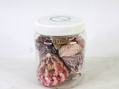 Vỏ ốc đụn hồng 3-6cm [Hủ 200-230gr / 3-6 con] VOOC-10