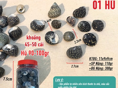 Vỏ ốc nấm đen 1-3cm Hủ 90-100gr (45-50 con) VOOC-NAM-01