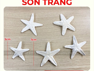 Set 03-05 sao biển Astro đủ màu SAOBIEN-01