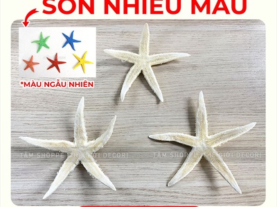 Set 03-05 sao biển Astro đủ màu SAOBIEN-01