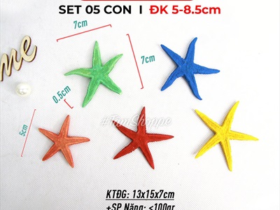 Set 03-05 sao biển Astro đủ màu SAOBIEN-01
