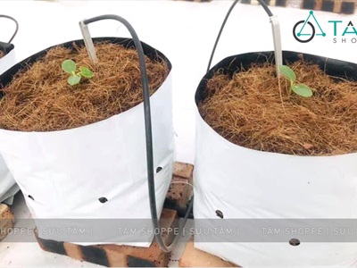 Bã bố xơ dừa ép gọn dạng thô bịch 200gr PKHM-XODUA-01