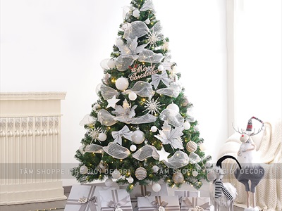 Cuộn ruy băng lưới bản 50cm dài 10m [quấn cây thông - làm vòng hoa] RUYBANG-15