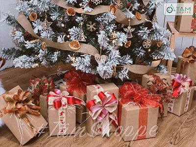 Hộp giấy carton làm hộp quà giáng sinh [Cứng cáp - nhiều cỡ] HOPGIAY-01