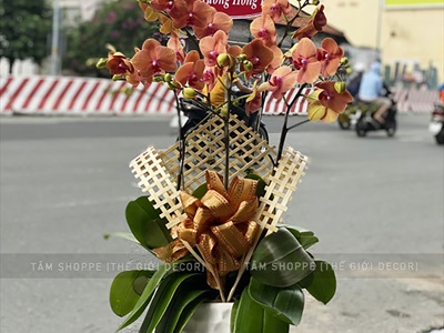 Nan tre cắm hoa trang trí cây thông Noel bản 5cm dài 1m [Loại đẹp - đan kĩ] NANTRE-01