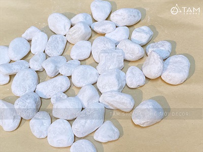 Sỏi đá trắng viên 2-4cm [Bịch 500gr - Sỏi sạch] SOIDA-03