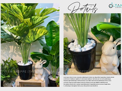 Sỏi đá trắng viên 2-4cm [Bịch 500gr - Sỏi sạch] SOIDA-03