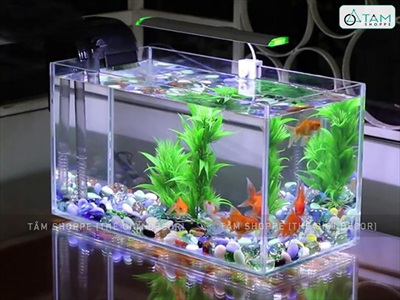 Sỏi thuỷ tinh viên tròn 2cm [Túi lưới 300gr - Nhiều màu] SOIDA-04