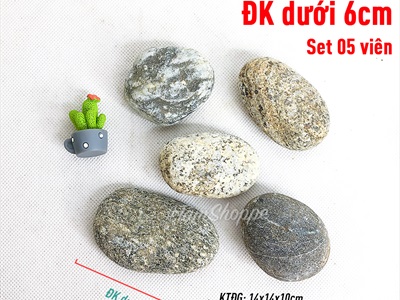 Viên đá cuội tự nhiên Decor - chặn giấy - kỳ lưng VDTC-SOIDA-01