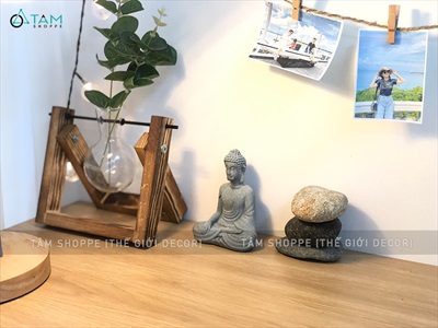 Viên đá cuội tự nhiên Decor - chặn giấy - kỳ lưng VDTC-SOIDA-01