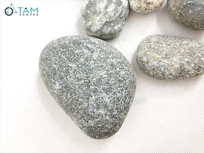 Viên đá cuội tự nhiên Decor - chặn giấy - kỳ lưng VDTC-SOIDA-01