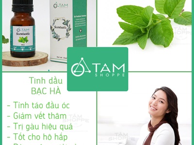 Tinh dầu bạc hà nguyên chất 100% SCENTASTIC