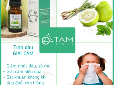 Tinh dầu giải cảm nguyên chất Cold & Flu Scentastic