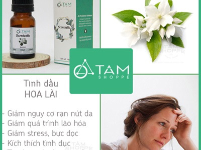 Tinh dầu hoa lài (Jasmine) SCENTASTIC