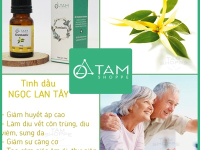 Tinh dầu Ngọc Lan Tây (Ylang) SCENTASTIC