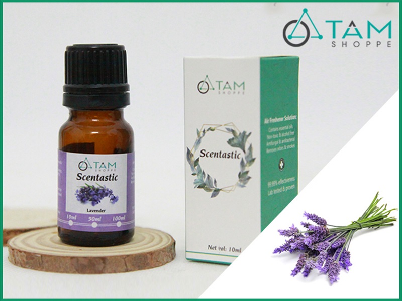 Tinh dầu oải hương (Lavender) SCENTASTIC