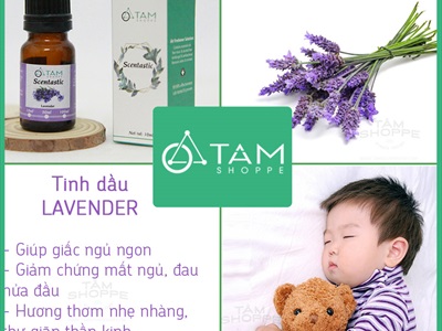 Tinh dầu oải hương (Lavender) SCENTASTIC