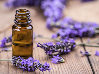 Tinh dầu oải hương (Lavender) SCENTASTIC