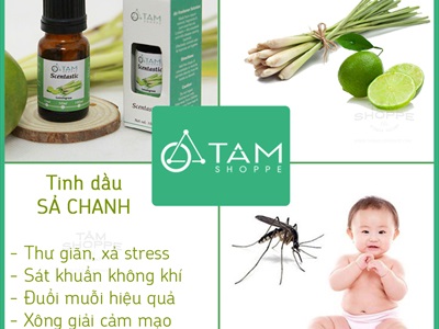 Tinh dầu sả chanh nguyên chất 100% SCENTASTIC