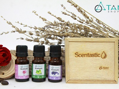 Combo TD02: Bộ 3 chai tinh dầu thiên nhiên 10ml ‪SCENTASTIC [ Tặng hộp gỗ ]
