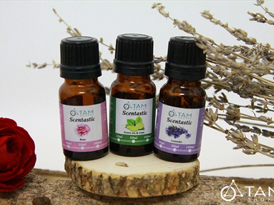 Combo TD02: Bộ 3 chai tinh dầu thiên nhiên 10ml ‪SCENTASTIC [ Tặng hộp gỗ ]