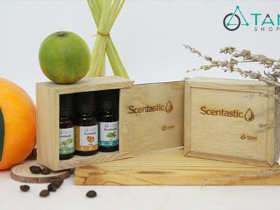 Combo TD01: Bộ 3 chai tinh dầu thiên nhiên 10ml ‪SCENTASTIC [ Tặng hộp gỗ ]