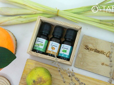 Combo TD01: Bộ 3 chai tinh dầu thiên nhiên 10ml ‪SCENTASTIC [ Tặng hộp gỗ ]