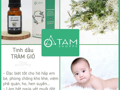 Tinh dầu tràm gió nguyên chất (Melaleuca) SCENTASTIC
