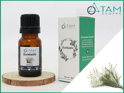 Tinh dầu tràm gió nguyên chất (Melaleuca) SCENTASTIC