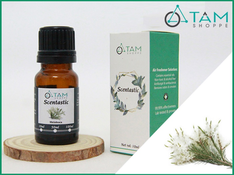 Tinh dầu tràm gió nguyên chất (Melaleuca) SCENTASTIC
